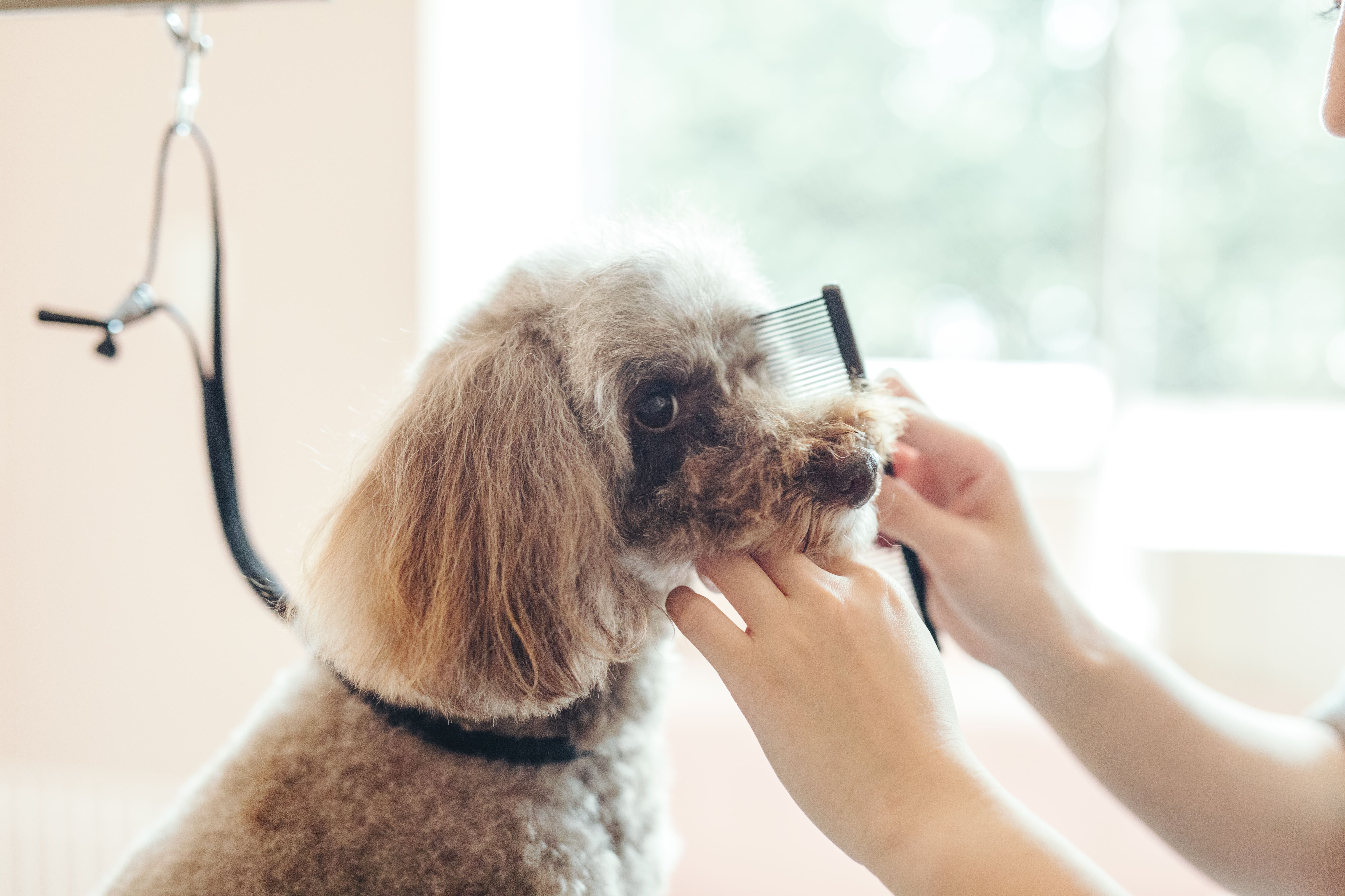 ファーストビュー