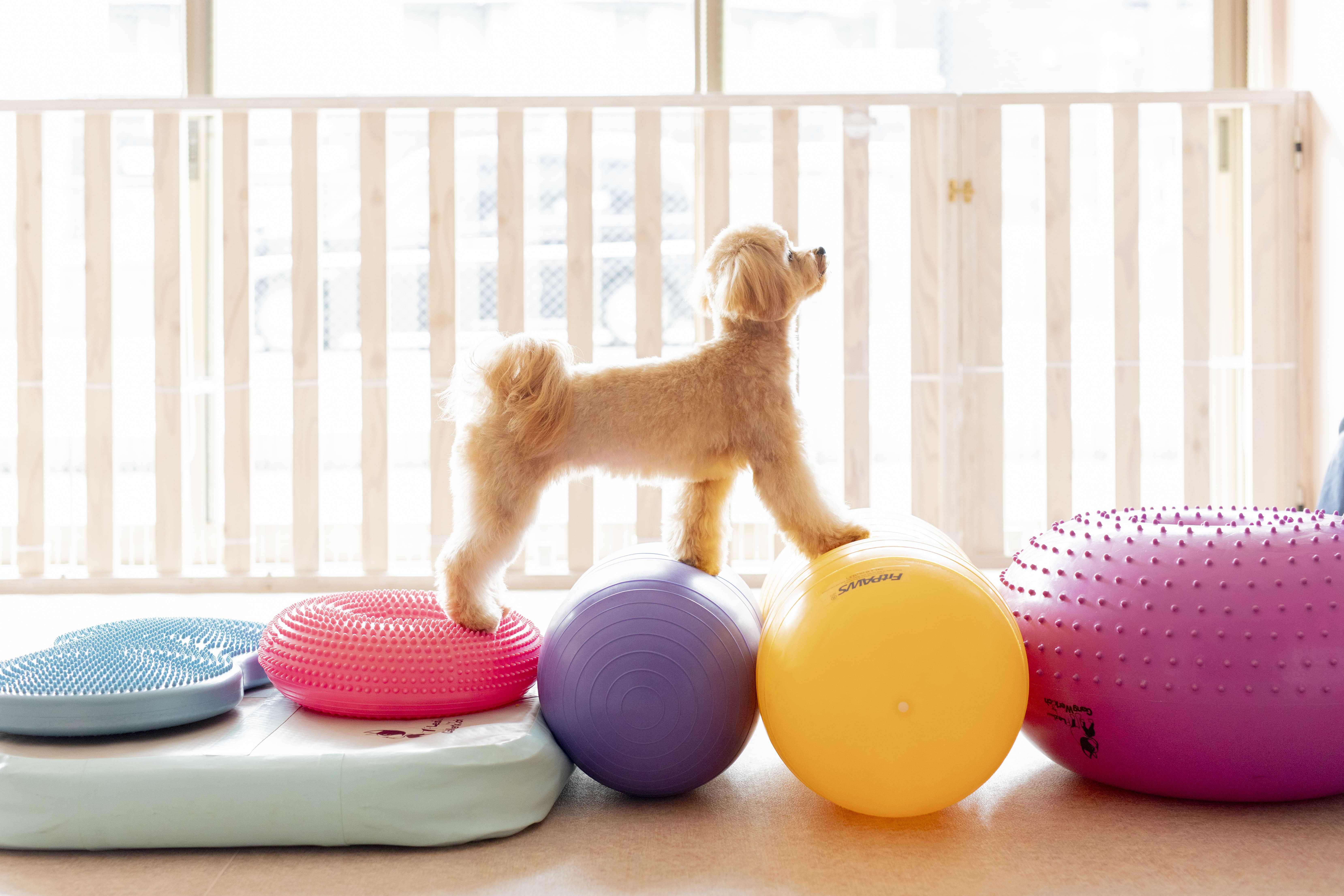 ファーストビュー